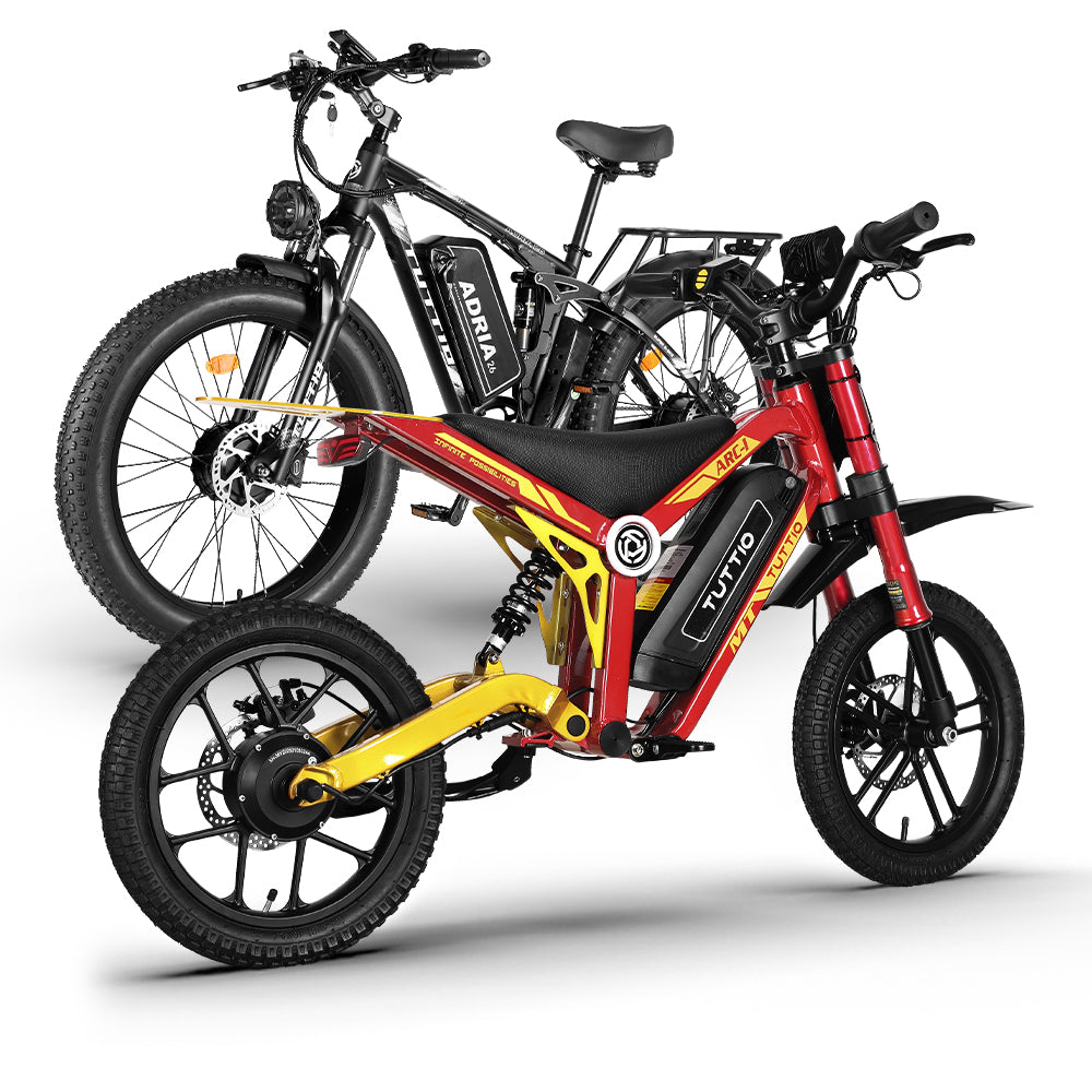 family electric bicycle Tuttio Family Electric Bike Combo