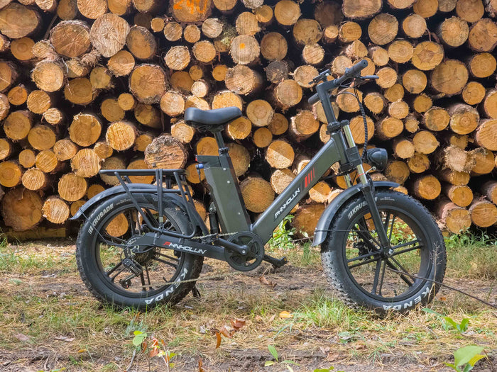 electric pedal bike