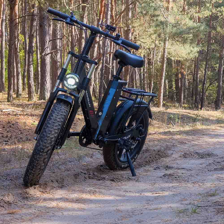 adult electric bicycle