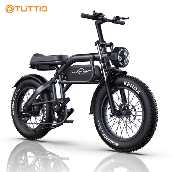 adult electric bike