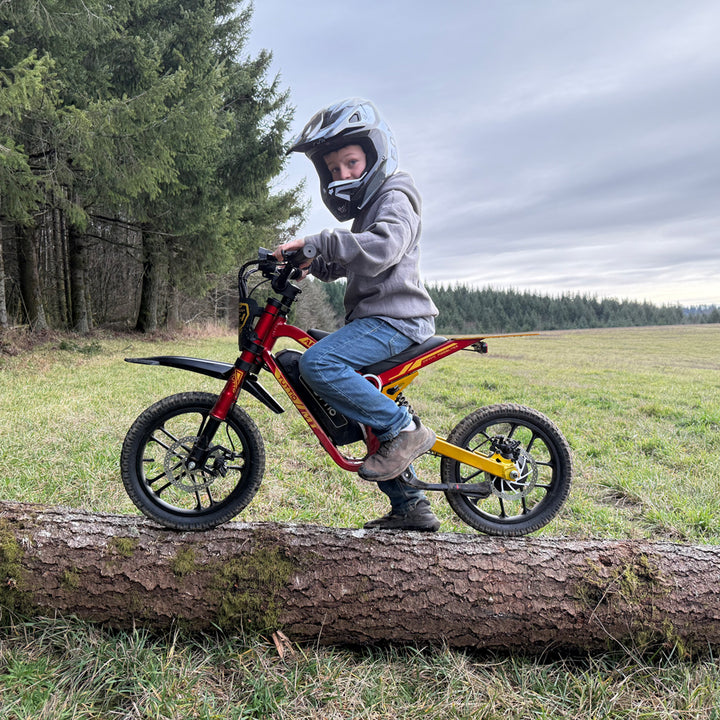 electric dirt bike for kids​