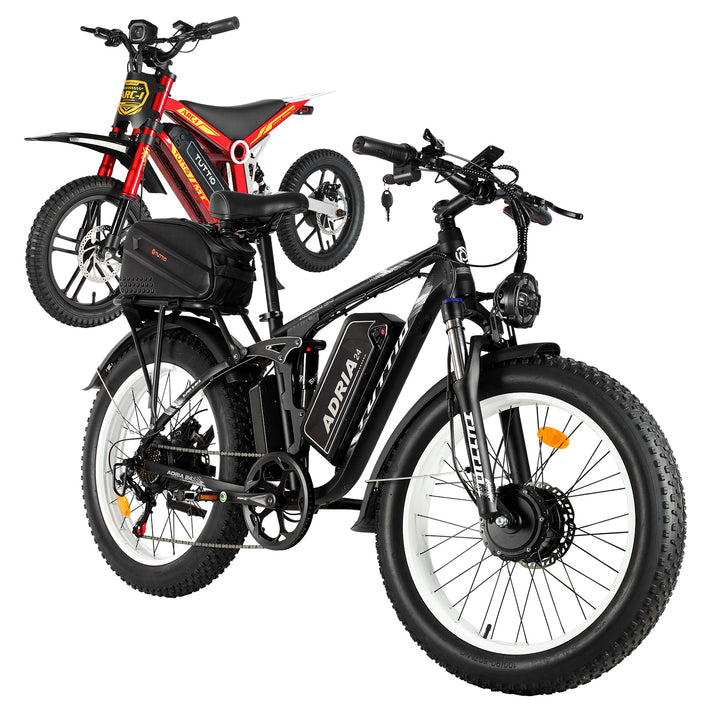 dual motor electric bike for adult