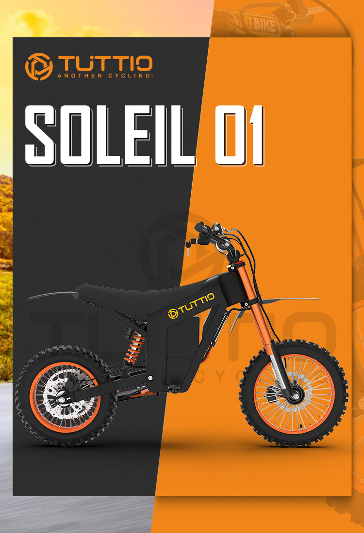 Top Electric Bikes Brand Suppliers Best Online Electric Bike Shop top-electric-bikes-brand-suppliers-best-online-electric-bike-shop