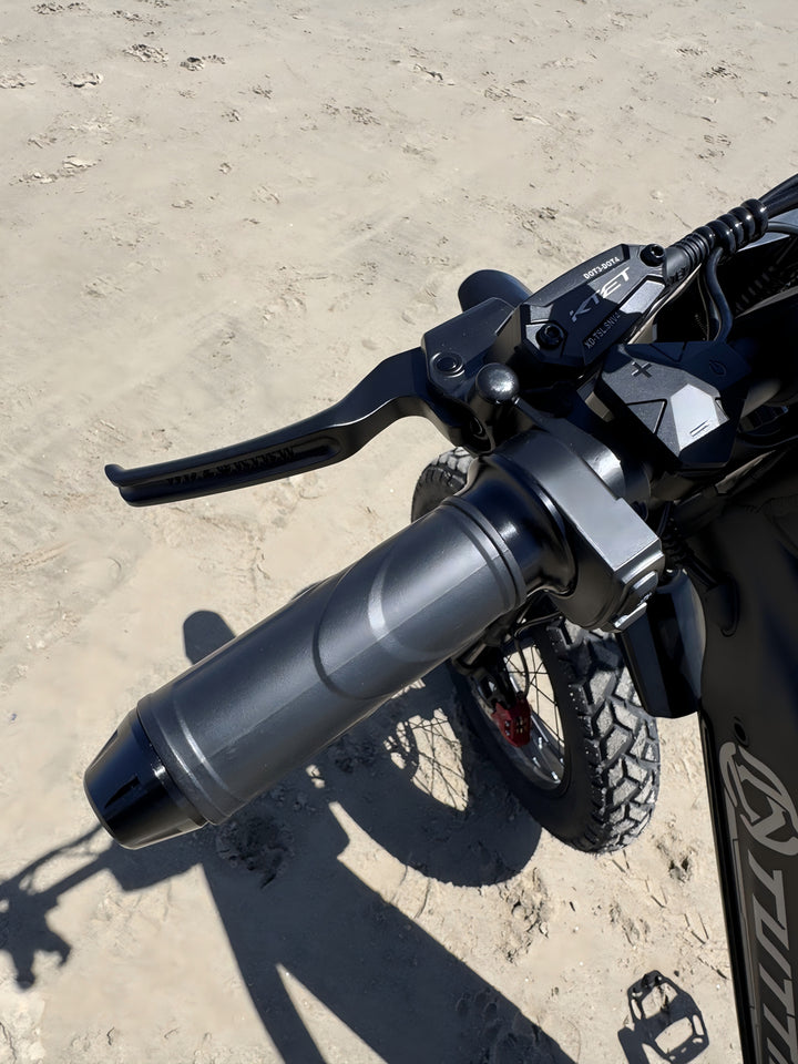 electric bike for adults