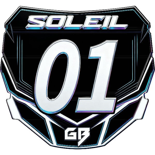 electric dirt bikes plate for sale